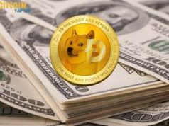 DOGE coin la gi, tim hieu ve dong doge coin