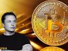 Elon Musk phu nhan so huu bitcoin
