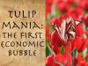 bitcoin-hoa-tulip-1