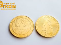 Phan-tich-ICO-EOS-LYNX-WorkCoin1