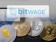 Bitwage hợp tác với Simply Efficient HR để trả lương cho người lao động bằng tiền điện tử