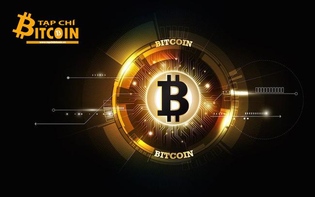 Tạp chí crypto hàng đầu Việt Nam