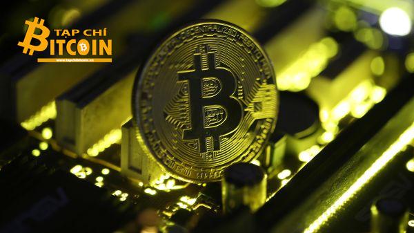 Tạp chí crypto hàng đầu Việt Nam