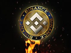 Binance Coin (BNB)