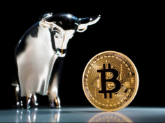 bitcoin-bull-run-1