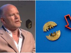 mike-novogratz-gia-bitcoin-gay-lo-ngai-neu-tiep-tuc-giam-sau