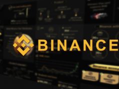 nghien-cuu-ve-binance-96-cac-nha-dau-tu-to-chuc-dang-nam-giu-stablecoin