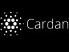 Cardano