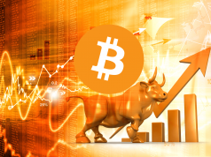 Bitcoin-bull