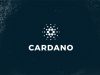 Cardano