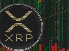 xrp-co-the-sap-vuot-troi-hon-bitcoin-nhung-van-bi-tap-trung-qua-muc