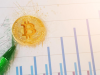 Bitcoin vs stock