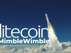 testnet Litecoin MimbleWimble 1