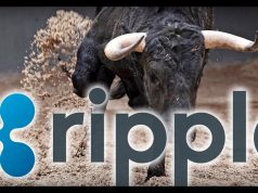 XRP bull