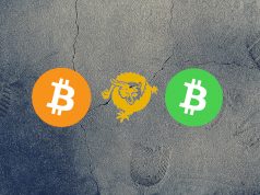 btc-bsv-bch