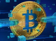 Sau khi halving, mạng Bitcoin với những vấn đề bình thường mới