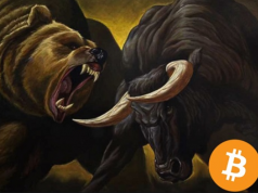 Bitcoin bull bear