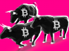 Bitcoin đã thực sự tiến vào thị trường tăng giá chưa? Bitcoin bull
