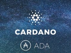 cardano-tiep-tuc-nang-cao-co-so-ha-tang-network-bang-cach-cai-thien-vi-daedalus-cua-minh