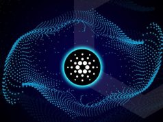 Staking Pool nhỏ trên Cardano được thúc đẩy bởi thông báo về các tính năng mới