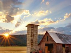 yield farming