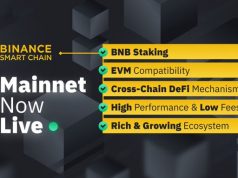 Binance smart chain mainnet