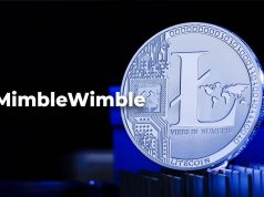 Litecoin sẽ khởi chạy testnet MimbleWimble vào ngày 30/9, có gì mới? MimbleWimble