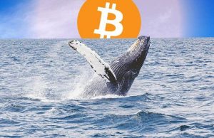 Một cá voi vừa di chuyển 60.000 BTC trị giá 641 triệu đô la, không rõ động thái