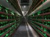 Ethereum Classic hợp tác với ChainSafe và OpenRelay để ngăn chặn các cuộc tấn công 51%