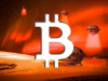 Nhà phân tích: Các trader đang phản ứng sai lầm với hành động giá gần đây của Bitcoin hanh-dong-gia-bitcoin
