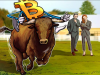 Hợp đồng quyền chọn Bitcoin vẫn cho tín hiệu tăng giá mặc dù giá đã giảm $ 900 trong tuần này hop-dong-quyen-chon Bitcoin