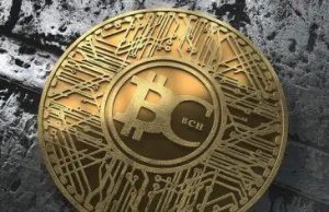 Mong đợi gì từ hard fork Bitcoin Cash vào giữa tháng 11 năm 2020? Điều gì sẽ xảy ra từ đợt Hard Fork Bitcoin Cash vào tháng 11 năm 2020?