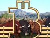 Phe bò sẵn sàng bảo vệ Bitcoin ở mức 13,000 đô la khi 450 triệu đô la BTC futures sẽ hết hạn vào thứ Sáu