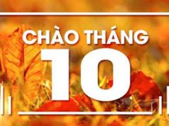 Mt.Gox sắp hoàn trả hơn 1,6 tỷ đô la Bitcoin cho nhà đầu tư vụ hack, một tháng 10 rung lắc dữ dội đang chờ đón các trader