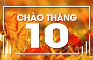Mt.Gox sắp hoàn trả hơn 1,6 tỷ đô la Bitcoin cho nhà đầu tư vụ hack, một tháng 10 rung lắc dữ dội đang chờ đón các trader