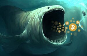 Hai cá voi Bitcoin vừa chuyển cho nhau 31.099 BTC trị giá gần 500 triệu đô la