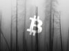 Tại sao trader hàng đầu này lại do dự khi xây dựng vị thế short Bitcoin ở đây? bitcoin