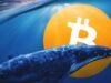 Một cá voi giàu nhất thứ 34 thị trường vừa di chuyển 414 triệu đô la Bitcoin