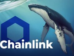 Dữ liệu cho thấy số lượng cá voi Chainlink ngày càng tăng