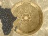 Châu Phi là tương lai của DeFi, sau đó sẽ tới Đông Nam Á, CEO Cardano cho biết Cardano thể hiện tham vọng của mình với khối tài sản 5.6 nghìn tỷ đô la tại Châu Phi