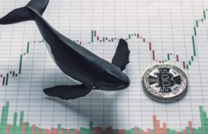 Tin vắn Crypto 10/12: Bitcoin khó có thể giảm sâu thêm nữa khi cá voi Bitfinex tiến hành tích lũy cùng tin tức Ethereum, Ripple, Okex, Chainlink, USDC, Bitso, DBS tin-van-crypto-10-12