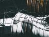 Token nằm trên Ethereum này đã lặng lẽ tăng hơn 1.000% trong 3 ngày qua token
