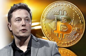 Tin vắn Crypto 29/01: Elon Musk có thể đã mua thêm Bitcoin cùng tin tức Ripple, The Graph, Robinhood, GME, Digipharm, Dogecoin, Binance, Luaswap, Flare tin-van-crypto-29-01