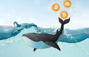 Cá voi Bitcoin cấp cao nhất di chuyển gần 1 tỷ đô la với phí 5 đô la