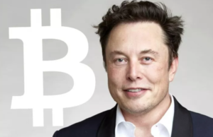 BTC tăng vọt 15% khi mục tiểu sử trên Twitter của Elon Musk hiện hiển thị từ: #Bitcoin bitcoin-tang-gia