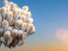 5 điều cần theo dõi về Bitcoin trong tuần này