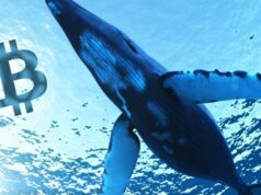 Liệu cá voi có thực sự thao túng giá Bitcoin?