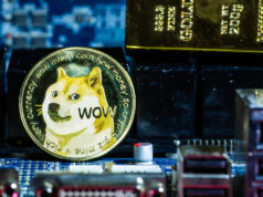 Dogecoin tăng hơn 100% khi cuộc biểu tình gần đây đã đẩy giá Bitcoin lên 33,000 đô la