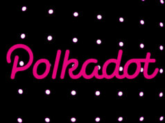 polkadot