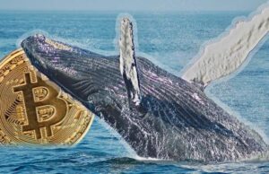 Tin vắn Crypto 28/01: Các tổ chức đầu tư lớn dự đoán Bitcoin sẽ có đợt tăng giá mạnh trong tương lai gần cùng tin tức Ethereum, Ripple, Bitcoin SV, INX, LIT tin-van-crypto-28-01